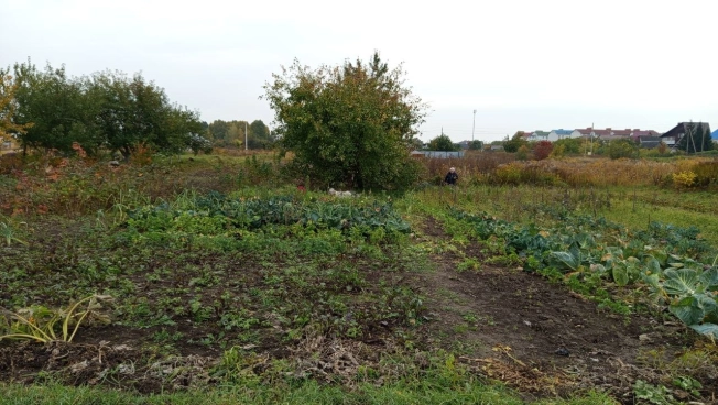 Купить земельный участок в Брянской области. Вариант № 7276137, 2, площадь - квм, цена 350000 рублей