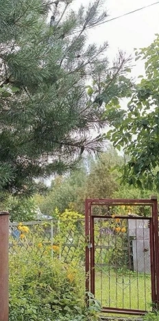 Купить дом в Коломне. Вариант № 9648778, 35, площадь -  квм, цена 5800000 рублей