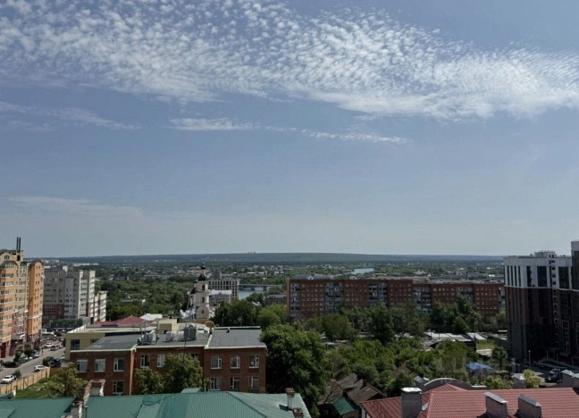 Купить квартиру на вторичке в районе Первомайский в Пензе. Вариант № 4096830, 14, площадь - квм, цена 10300000 рублей