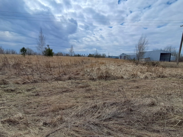 Купить земельный участок в Нижегородской области. Вариант № 36168, 11, площадь -  квм, цена 499000 рублей