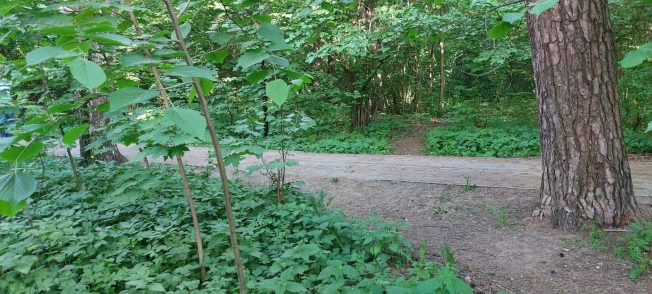 Купить трехкомнатную квартиру на улице Кирова в Химках. Вариант № 7756, 35, площадь -  квм, цена 22400000 рублей