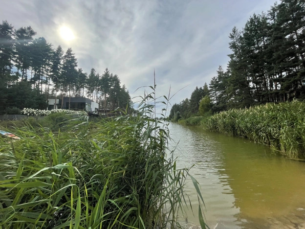 Купить дом в Воронеже. Вариант № 558382, 28, площадь -  квм, цена 16900000 рублей