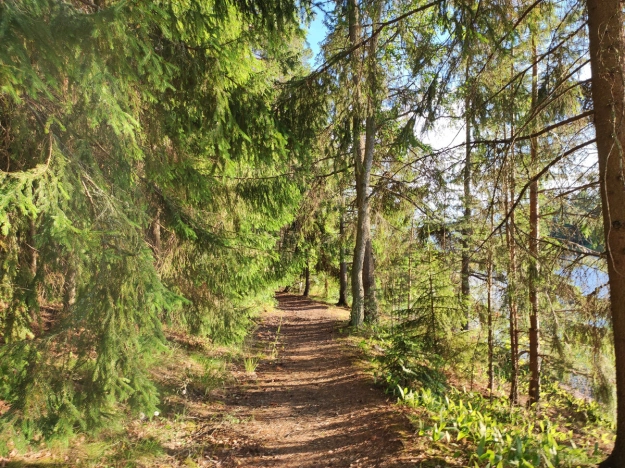 Купить земельный участок в Ленинградской области. Вариант № 8371516, 7, площадь -  квм, цена 19045000 рублей