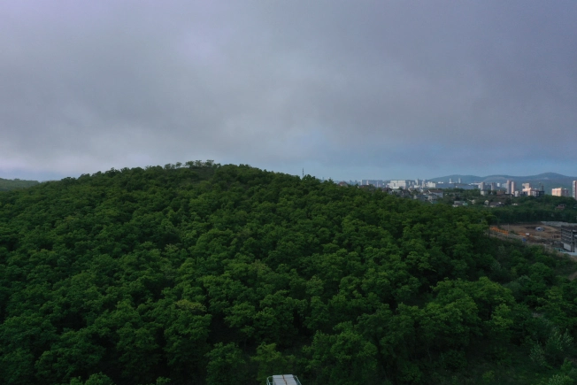 Купить двухкомнатную квартиру в ЖК Посейдония в Владивостоке. Вариант № 4136720, 3, площадь -  квм, цена 10592700 рублей