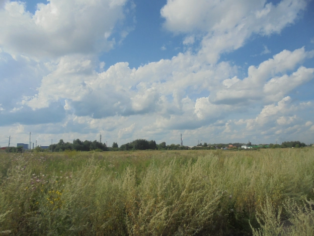 Купить земельный участок в Микрорайоне Московка-2 в Омске. Вариант № 3188, 10, площадь -  квм, цена 14000000 рублей