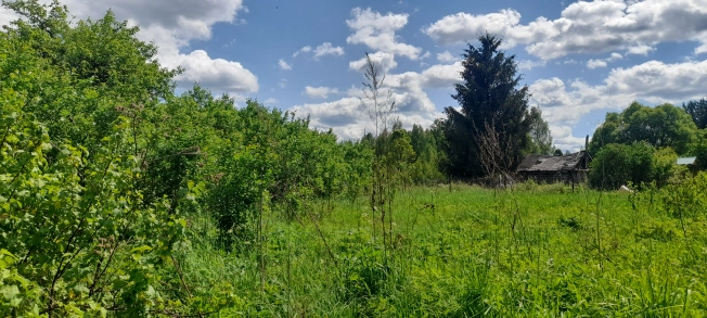 Купить дом в Судогде. Вариант № 49545, 4, площадь -  квм, цена 380000 рублей