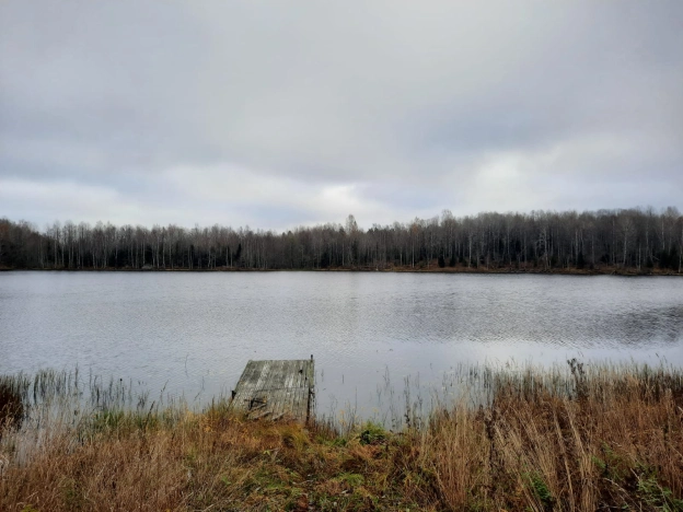 Купить земельный участок в Республике Карелия. Вариант № 14415, 5, площадь -  квм, цена 1000000 рублей
