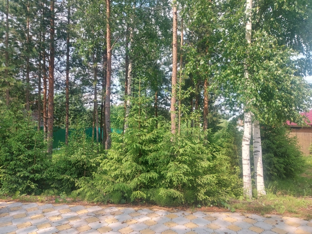 Купить дом в Архангельской области. Вариант № 50410, 3, площадь -  квм, цена 16500000 рублей