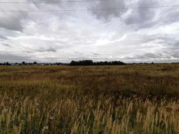 Купить земельный участок в Покрове. Вариант № 3045, 8, площадь -  квм, цена 4500000 рублей