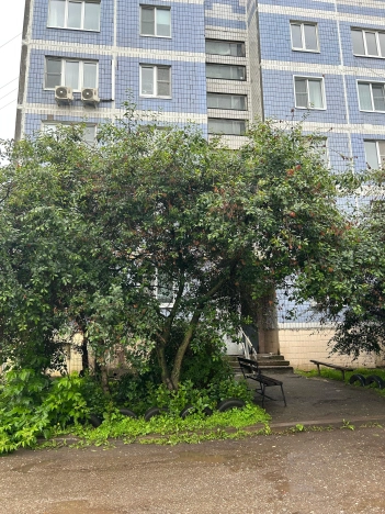 Снять квартиру на улице Молодцова в Рязани. Вариант № 1321984, 6, площадь -  квм, цена 23000 рублей