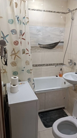 Купить однокомнатную квартиру в ЦАО в Новосибирске. Вариант № 8084894, 10, площадь -  квм, цена 6000000 рублей