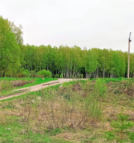 Купить земельный участок в Тульской области. Вариант № 1942, 3, площадь -  квм, цена 270000 рублей