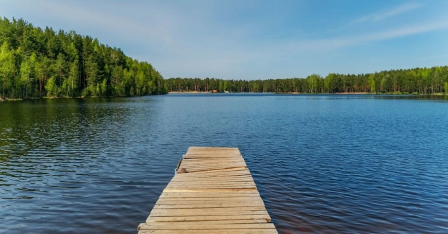 Купить дом в Всеволожске. Вариант № 240924, 33, площадь -  квм, цена 18900000 рублей