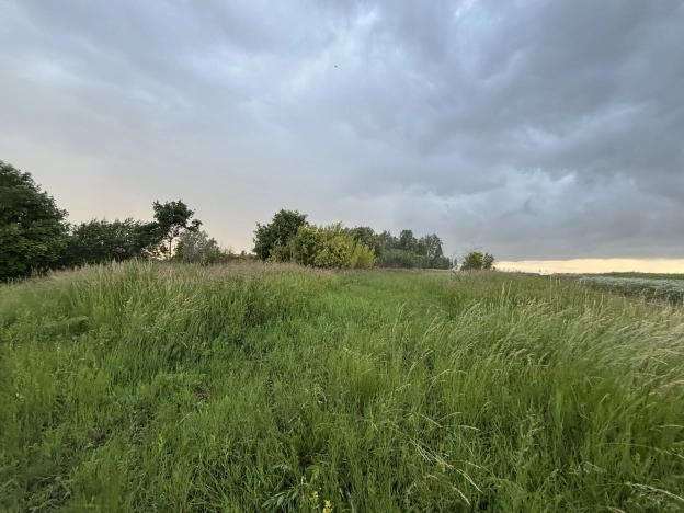 Купить земельный участок в Рязанской области. Вариант № 57791, 3, площадь -  квм, цена 250000 рублей