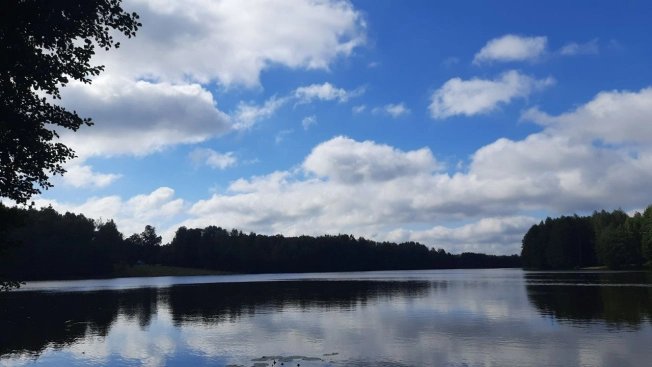 Купить земельный участок в Владимире. Вариант № 3155308, 1, площадь -  квм, цена 680000 рублей