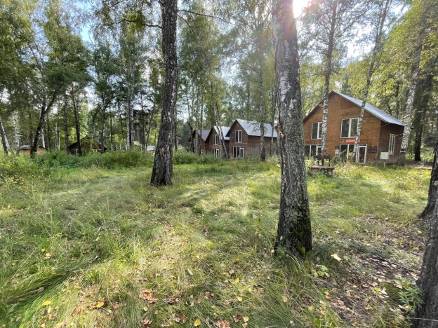 Купить земельный участок в Искитиме. Вариант № 2589292, 7, площадь -  квм, цена 95000000 рублей