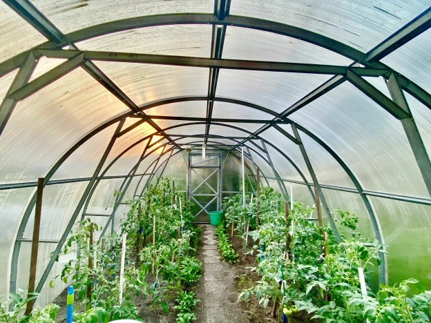 Купить четырехкомнатную квартиру в Калининграде. Вариант № 51662, 41, площадь -  квм, цена 10000000 рублей