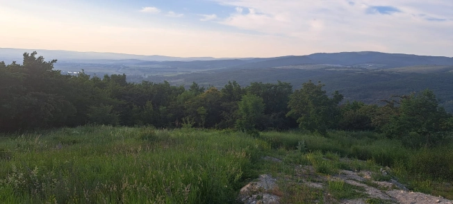 Купить земельный участок в Новороссийске. Вариант № 20833, 13, площадь -  квм, цена 5150000 рублей