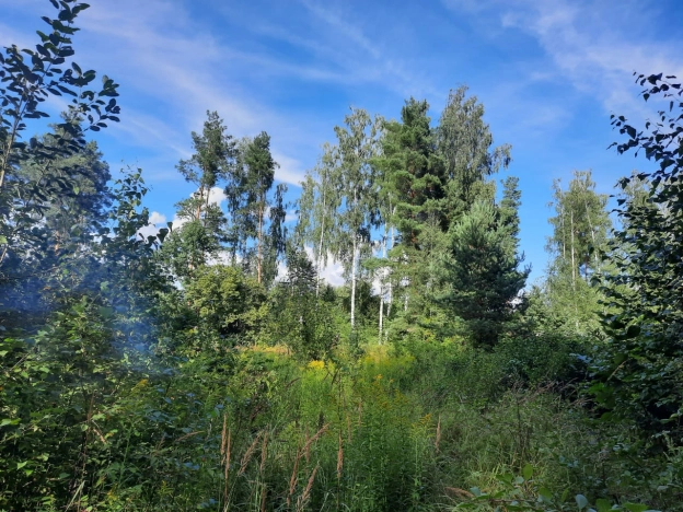 . Вариант № 11709, 6, площадь -  квм, цена 436000 рублей