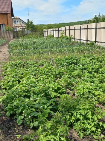 Купить дом в Грайвороне. Вариант № 532731, 11, площадь -  квм, цена 4250000 рублей