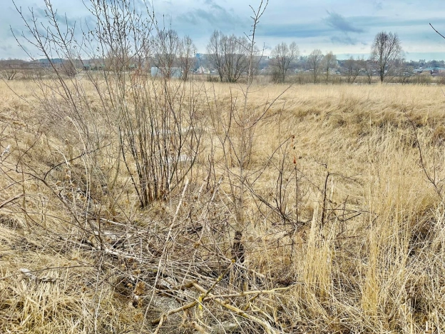 Купить земельный участок в Нижегородской области. Вариант № 30235, 6, площадь -  квм, цена 1950000 рублей
