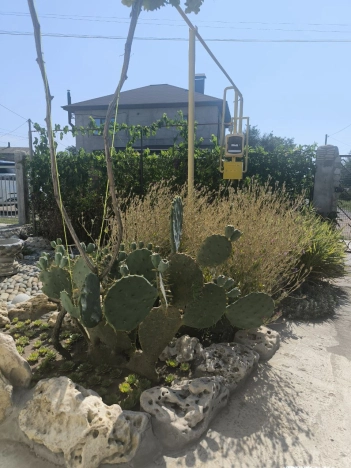 Купить дом на улице Гранатовая в Краснодарском крае. Вариант № 1921360, 4, площадь -  квм, цена 5600000 рублей