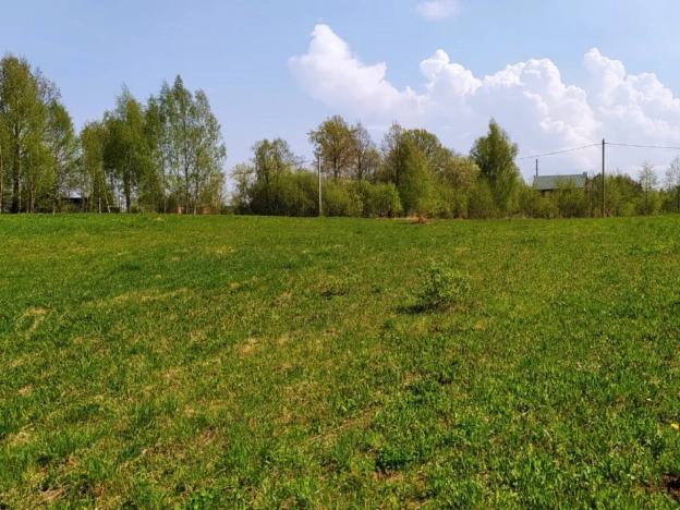 Купить земельный участок в Краснозаводске. Вариант № 972, 10, площадь -  квм, цена 1100000 рублей