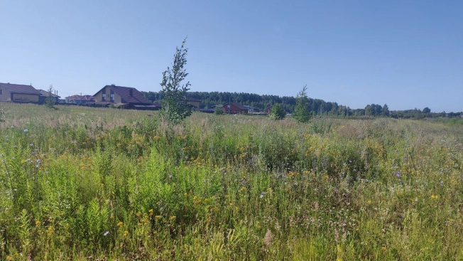 Купить земельный участок на улице 1-й Авиационный проезд в Рязани. Вариант № 247391, 4, площадь -  квм, цена 850000 рублей