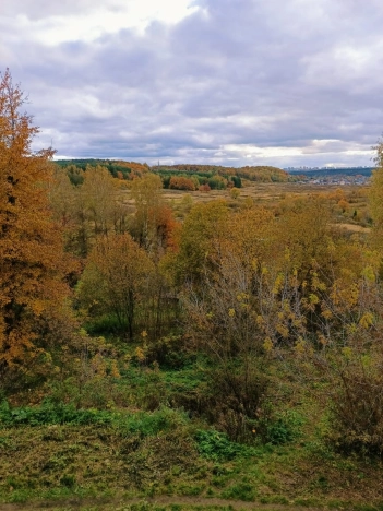 . Вариант № 839856, 15, площадь - 31.2 квм, цена 2369999 рублей