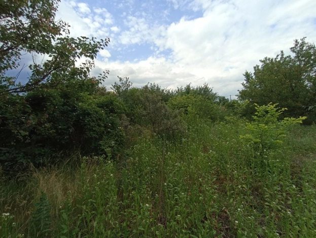 Купить земельный участок на улице Пятилетки в Белгородской области. Вариант № 2476, 6, площадь -  квм, цена 350000 рублей