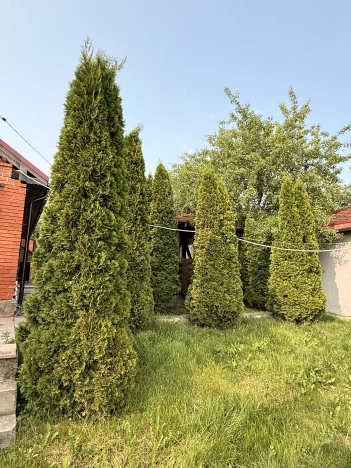 Купить дом в Москве. Вариант № 5538103, 25, площадь -  квм, цена 30000000 рублей