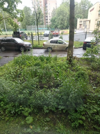 Купить двухкомнатную квартиру в районе Красногвардейский в Санкт-Петербурге. Вариант № 1634768, 7, площадь -  квм, цена 9500000 рублей