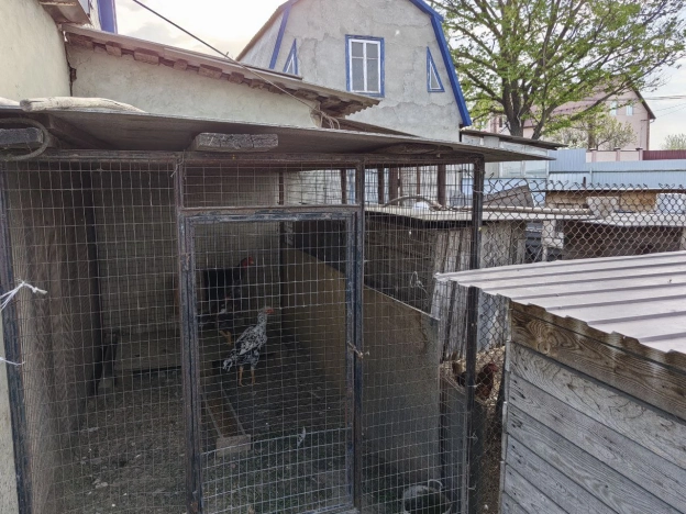 Купить дом в Курской области. Вариант № 39435, 8, площадь -  квм, цена 8500000 рублей