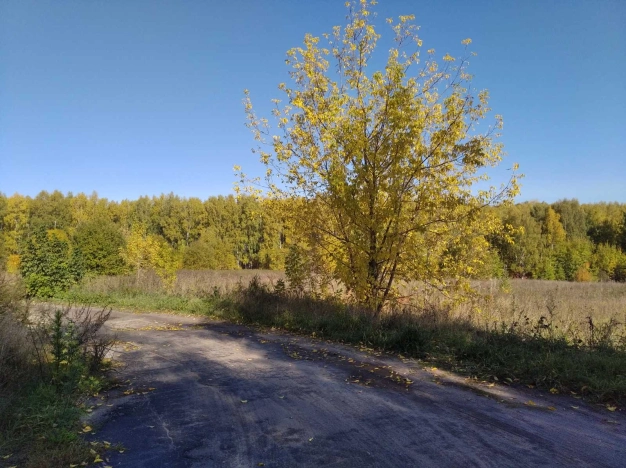 Купить коммерческую недвижимость свободного назначения на улице Яблоневая в Нижнем Новгороде. Вариант № 1587, 8, площадь -  квм, цена 26500000 рублей