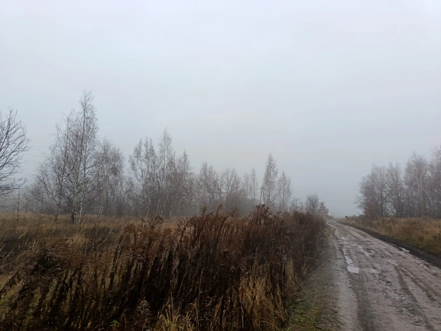 Купить земельный участок в Рязани. Вариант № 22735, 2, площадь -  квм, цена 2100000 рублей