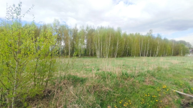 Купить земельный участок в Раменском. Вариант № 41179, 8, площадь -  квм, цена 2500000 рублей