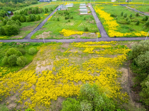 Купить земельный участок у метро Шушары в Санкт-Петербурге. Вариант № 2024486, 4, площадь -  квм, цена 1700000 рублей