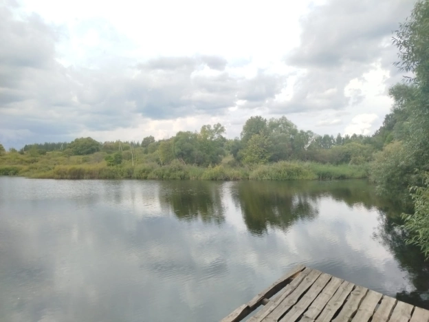 Купить земельный участок в Пензе. Вариант № 12129, 2, площадь -  квм, цена 1250000 рублей