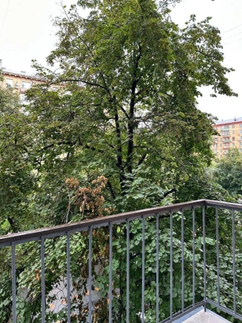 Купить квартиру в Москве. Вариант № 7610974, 8, площадь - квм, цена 47600000 рублей