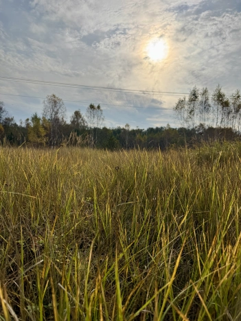 Купить земельный участок в Белоозёрском. Вариант № 7521206, 0, площадь -  квм, цена 750000 рублей