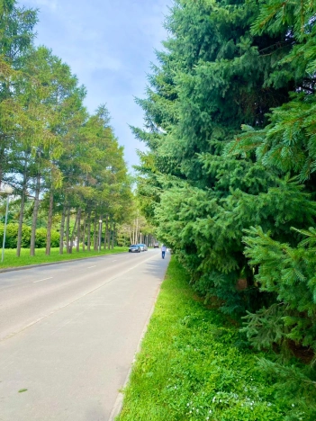 . Вариант № 2027959, 15, площадь - 62.3 квм, цена 8550000 рублей