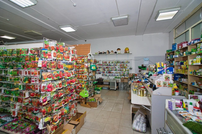 Купить коммерческую недвижимость свободного назначения в Гусь-Хрустальном. Вариант № 10662805, 30, площадь - квм, цена 40000000 рублей