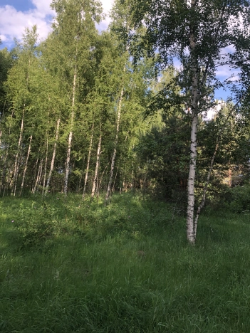 Купить земельный участок в Коврове. Вариант № 9951, 3, площадь -  квм, цена 550000 рублей