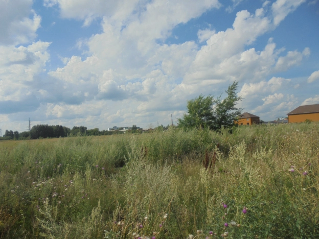 Купить земельный участок в Микрорайоне Московка-2 в Омске. Вариант № 3188, 5, площадь -  квм, цена 14000000 рублей