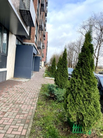 Купить квартиру в Москве. Вариант № 8550124, 28, площадь -  квм, цена 26000000 рублей