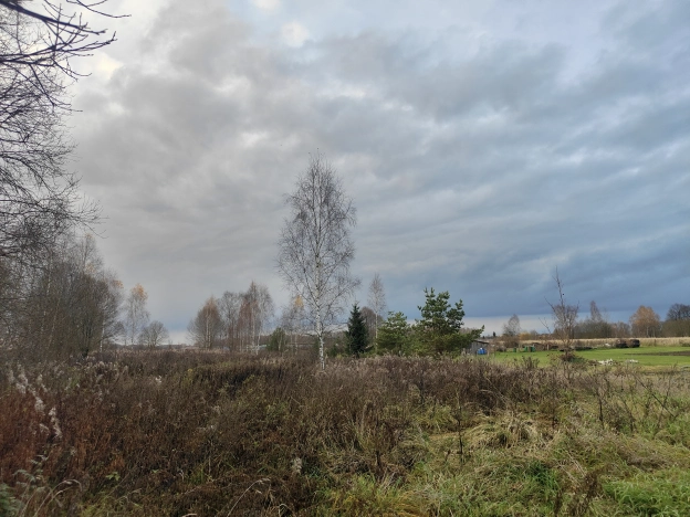 Купить земельный участок в Тульской области. Вариант № 8493413, 5, площадь -  квм, цена 1100000 рублей