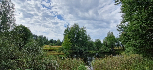 Купить земельный участок на улице 8-я линия в Нижегородской области. Вариант № 5522023, 4, площадь -  квм, цена 7800000 рублей