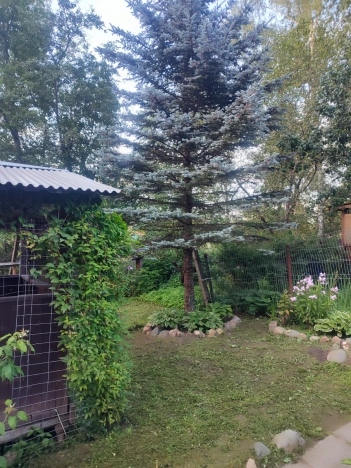 Купить дачу в Москве. Вариант № 7645049, 24, площадь -  квм, цена 4200000 рублей