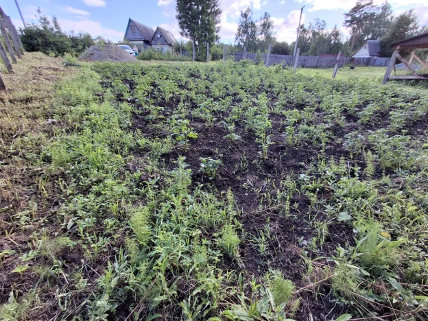 Купить земельный участок в Тобольске. Вариант № 60179, 4, площадь -  квм, цена 300000 рублей