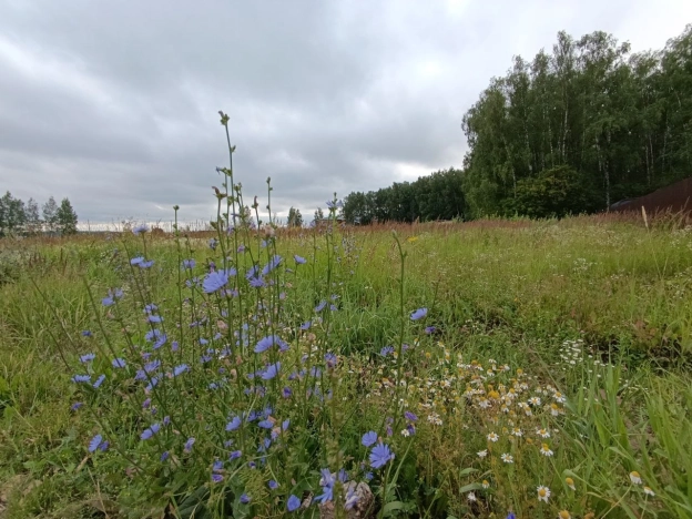 Купить земельный участок в Лакинске. Вариант № 804670, 3, площадь -  квм, цена 1500000 рублей
